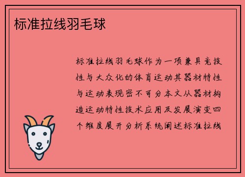 标准拉线羽毛球